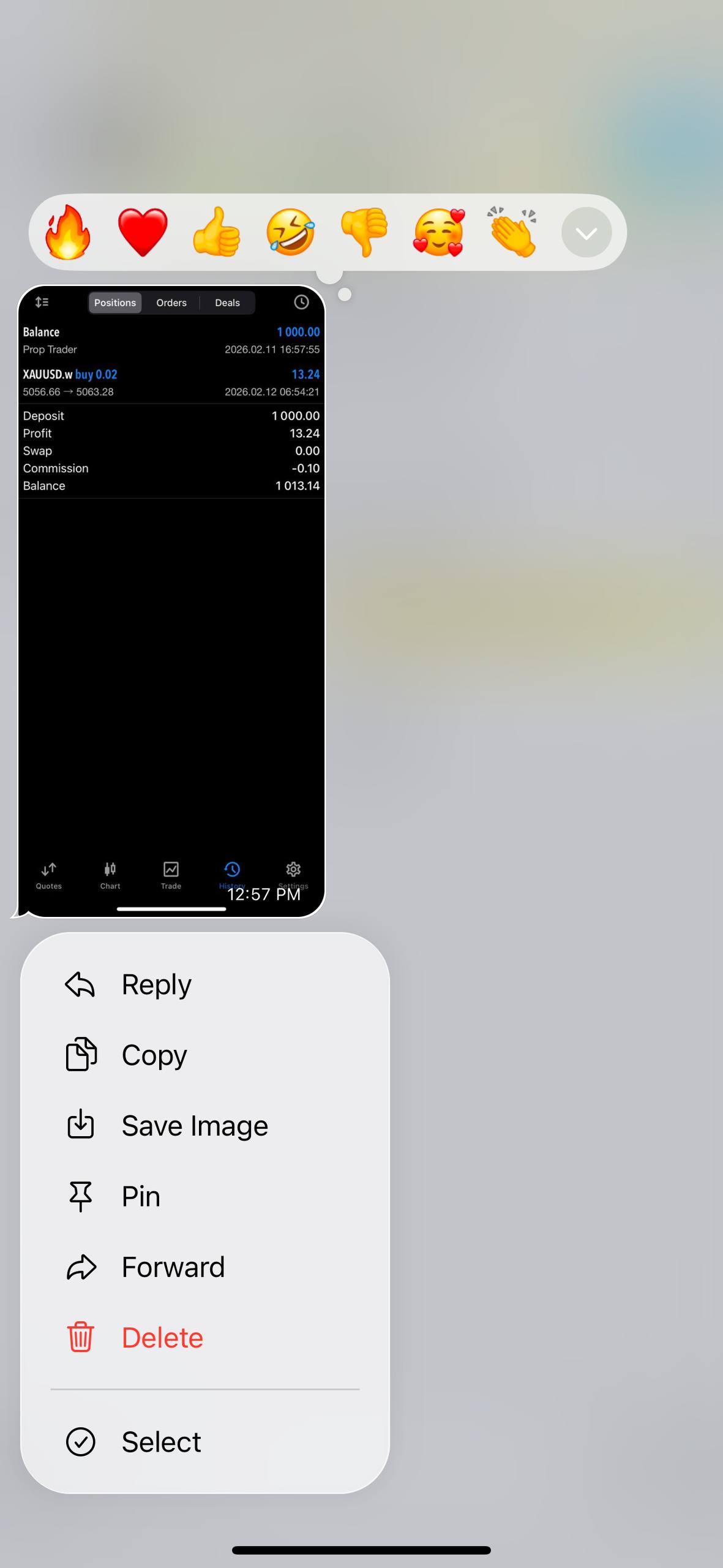 Balance $1,013 +$13.24 profit